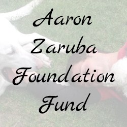 Aaron Zaruba Foundation