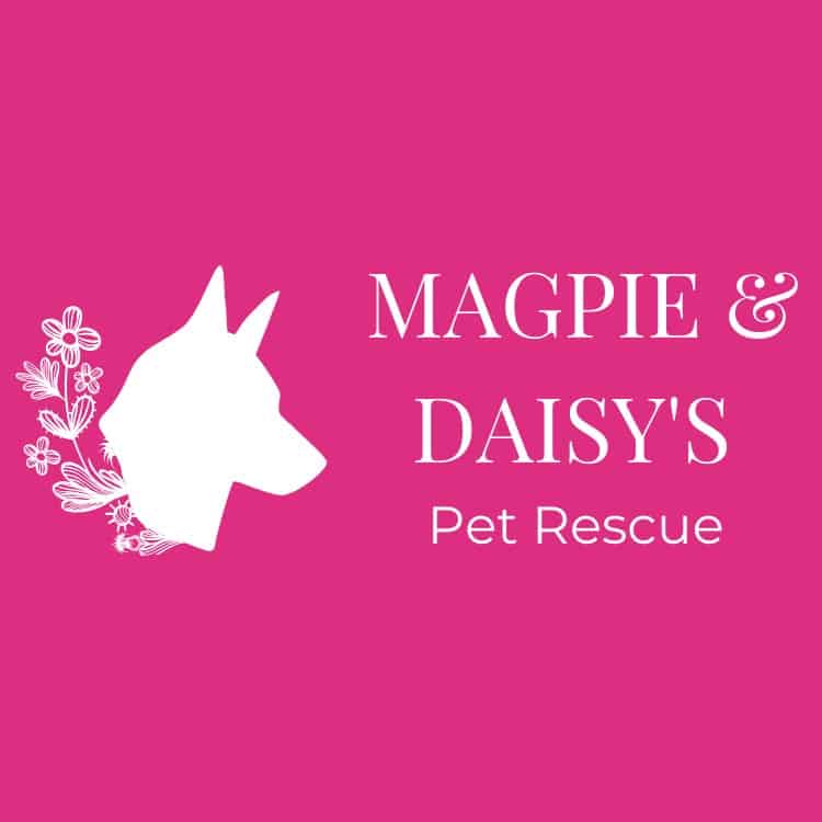 Magpie & Daisy's Pet Rescue